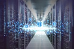 全国人大常委会副委员长武维华率团访问